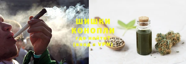 молекула духа Саяногорск