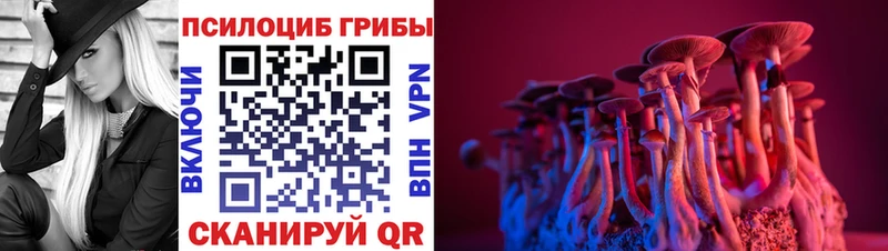 Галлюциногенные грибы Psilocybe  Бронницы 