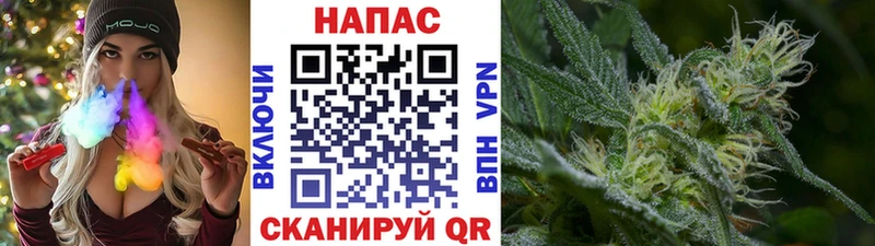 Марихуана гибрид  как найти   Бронницы 